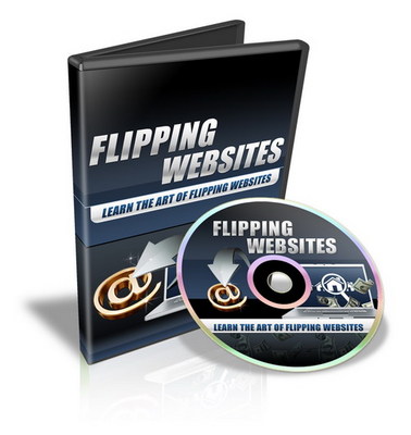 Product picture Flipping Website Video Series